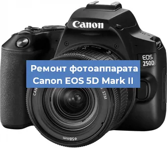 Замена затвора на фотоаппарате Canon EOS 5D Mark II в Волгограде